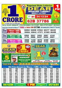 Nagaland State Lottery 8 PM Result 24-12-2024 (OUT) Live: Tuesday Lucky Draw Result DECLARED At 8 PM- 1 Crore First Prize Complete Winner List