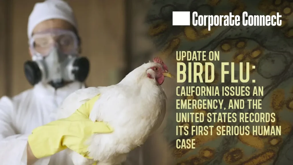 Update on bird flu: California issues an emergency and the United States records its first serious human case