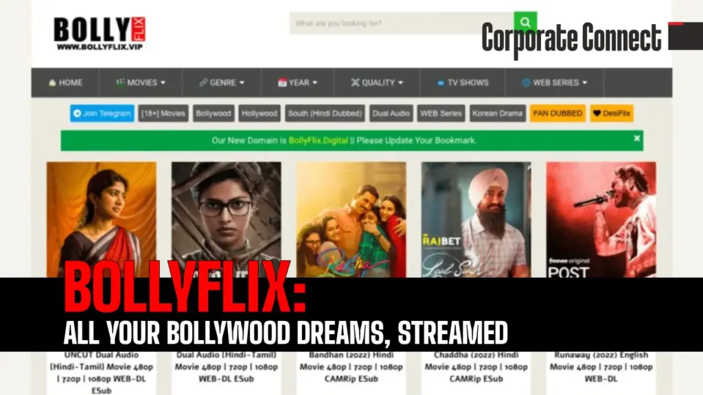 BollyFlix: All Your Bollywood Dreams, Streamed