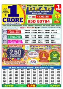 Nagaland State Lottery Sambad Result 11.03.2025: Check 1 PM, 6 PM & 8 PM Winning Numbers