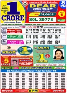 Nagaland State Lottery Result 09-04-2025 (OUT) Live – Check Dear Morning, Day, and Night Results Here!